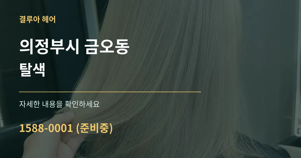 의정부시 금오동 탈색 서비스 이용 안내 그래픽