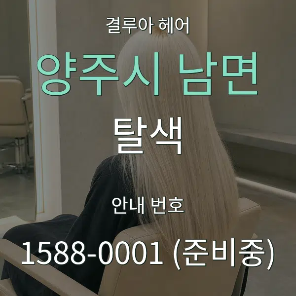 양주시 남면 탈색 대표 안내 그래픽