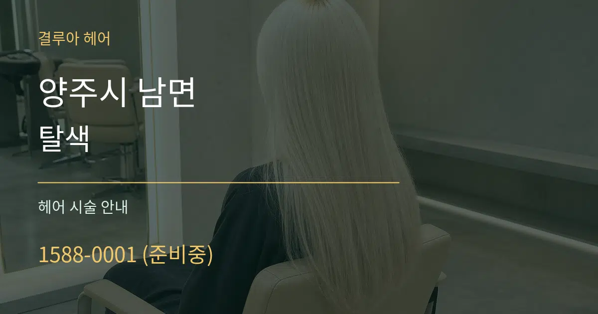 양주시 남면 탈색 대표 안내 그래픽