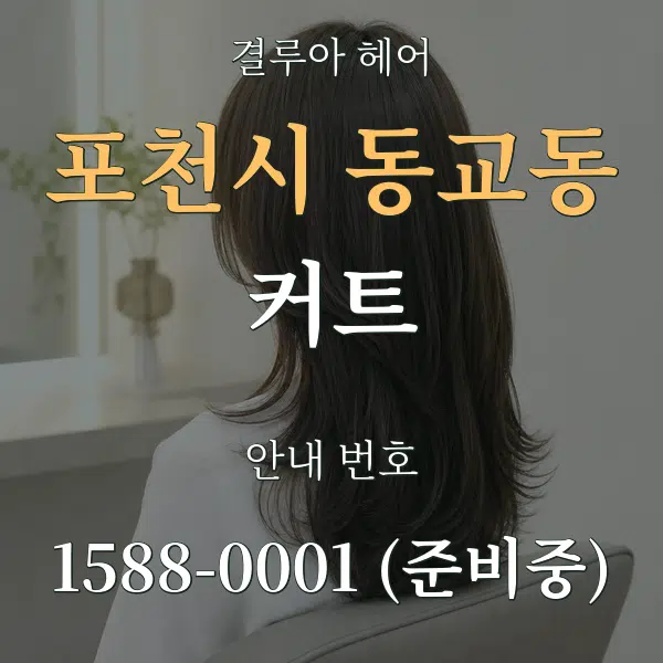 포천시 동교동 커트 대표 안내 그래픽