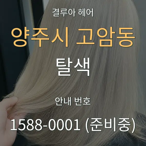 양주시 고암동 탈색 대표 안내 그래픽