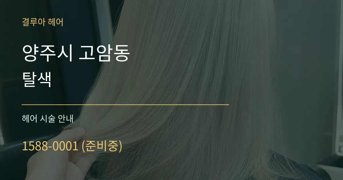 양주시 고암동 탈색 대표 안내 그래픽