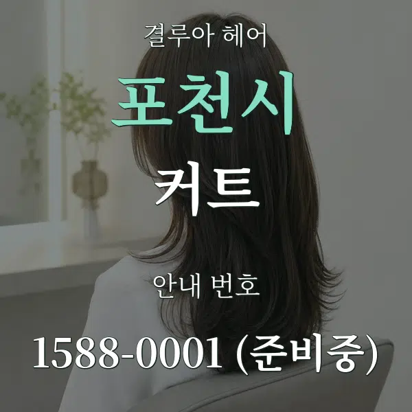 포천시 커트 대표 안내 그래픽