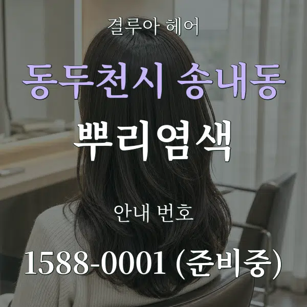 동두천시 송내동 뿌리염색 대표 안내 그래픽