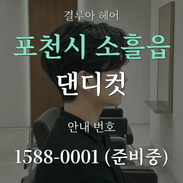 포천시 소흘읍 댄디컷 대표 안내 그래픽
