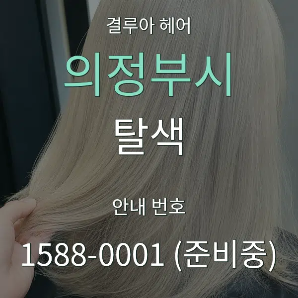 의정부시 탈색 대표 안내 그래픽