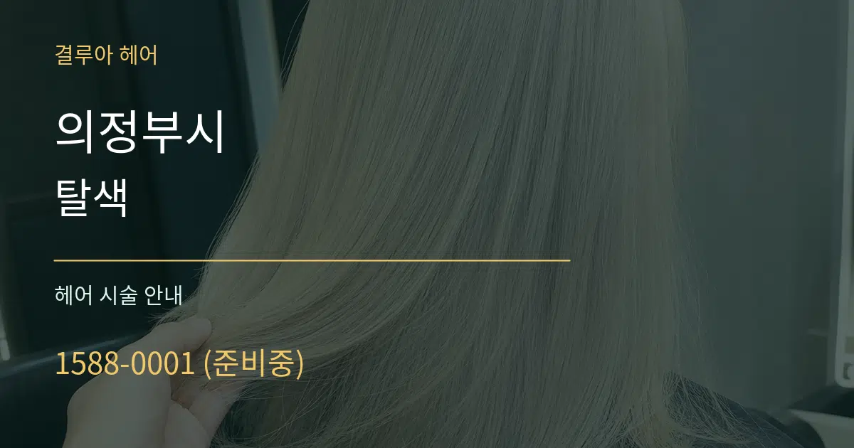 의정부시 탈색 대표 안내 그래픽