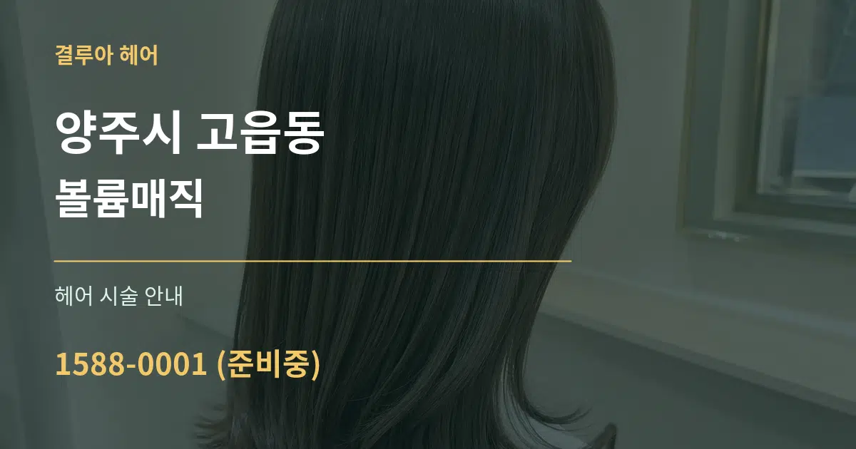 양주시 고읍동 볼륨매직 대표 안내 그래픽