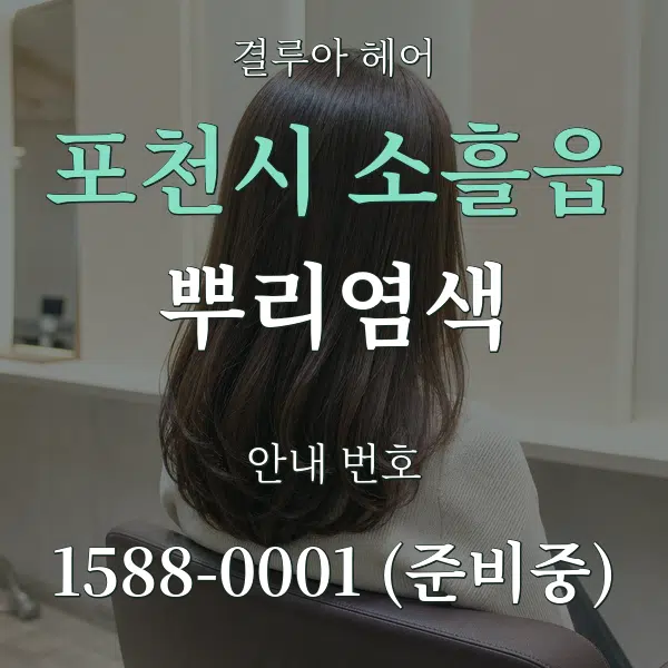 포천시 소흘읍 뿌리염색 대표 안내 그래픽