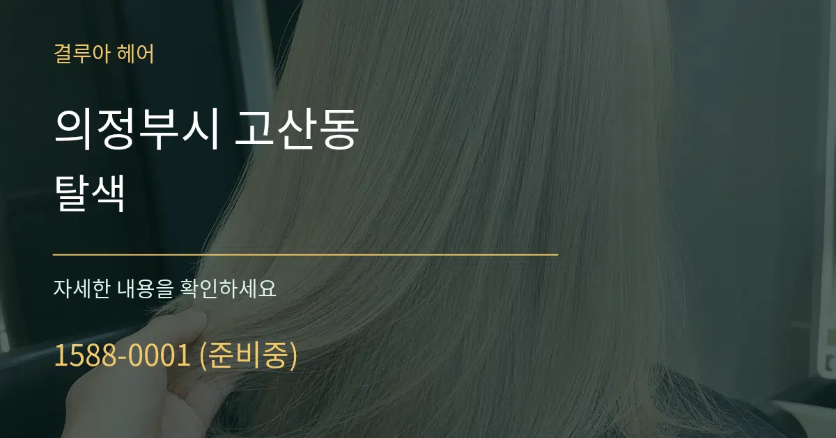 의정부시 고산동 탈색 서비스 이용 안내 그래픽
