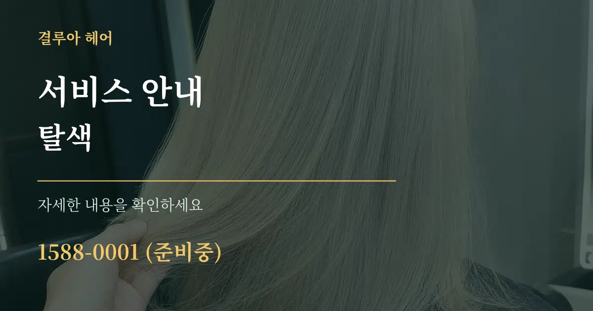 서비스 안내 탈색 서비스 이용 안내 그래픽