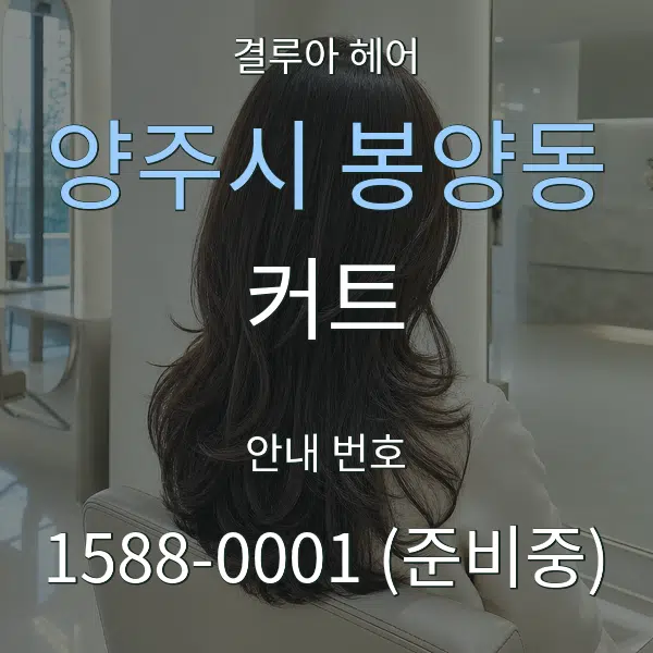 양주시 봉양동 커트 대표 안내 그래픽