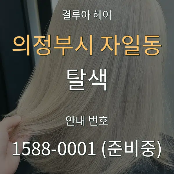 의정부시 자일동 탈색 대표 안내 그래픽