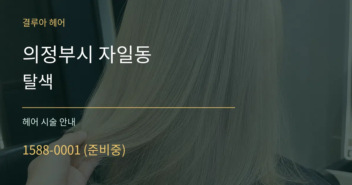 의정부시 자일동 탈색 대표 안내 그래픽