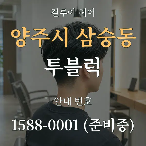 양주시 삼숭동 투블럭 대표 안내 그래픽
