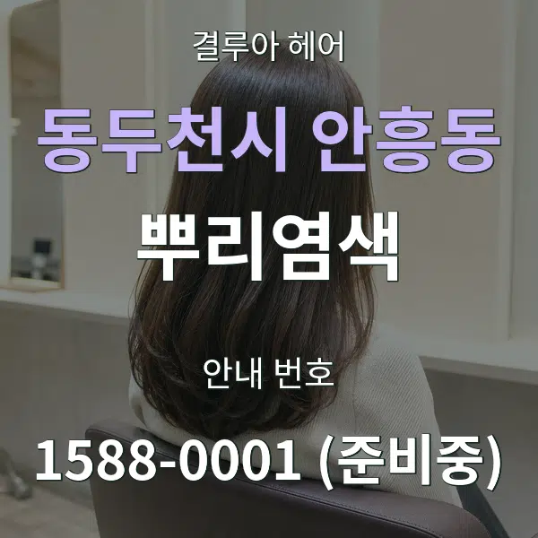 동두천시 안흥동 뿌리염색 대표 안내 그래픽