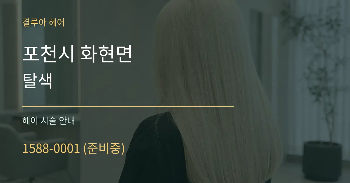 포천시 화현면 탈색 대표 안내 그래픽