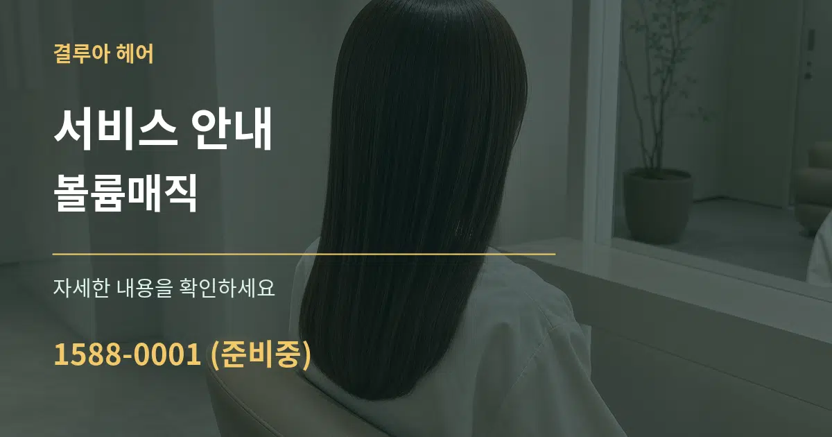 서비스 안내 볼륨매직 서비스 이용 안내 그래픽