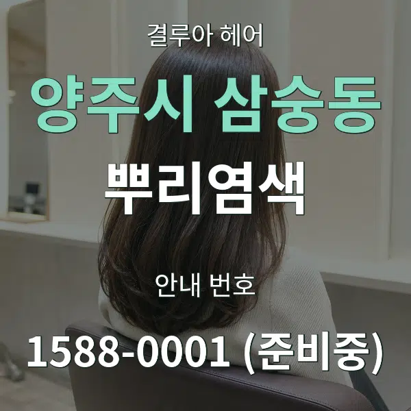 양주시 삼숭동 뿌리염색 대표 안내 그래픽