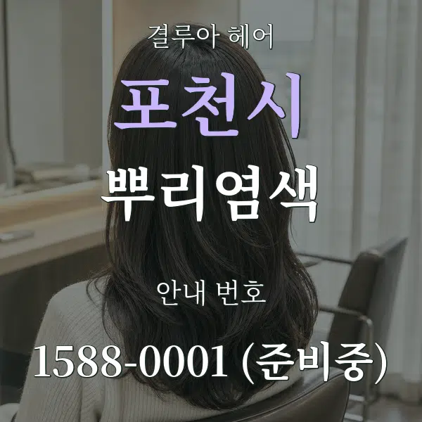 포천시 뿌리염색 대표 안내 그래픽