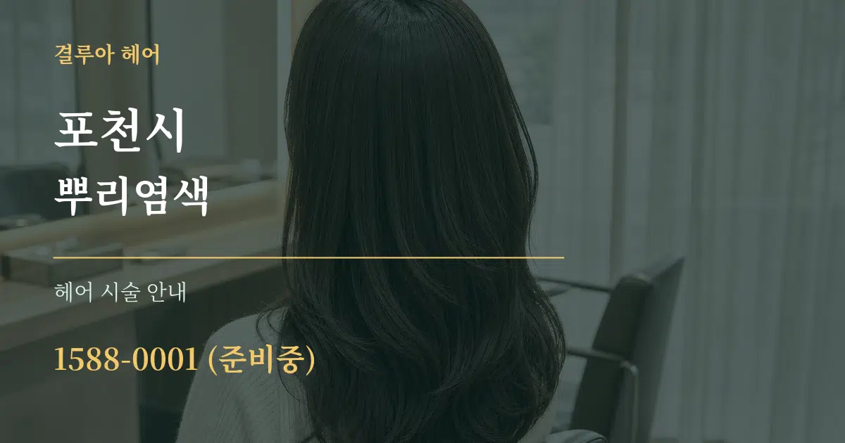 포천시 뿌리염색 대표 안내 그래픽