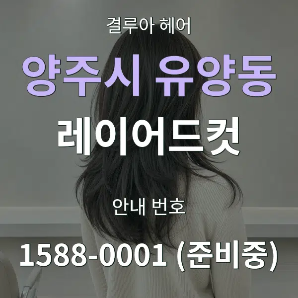 양주시 유양동 레이어드컷 대표 안내 그래픽