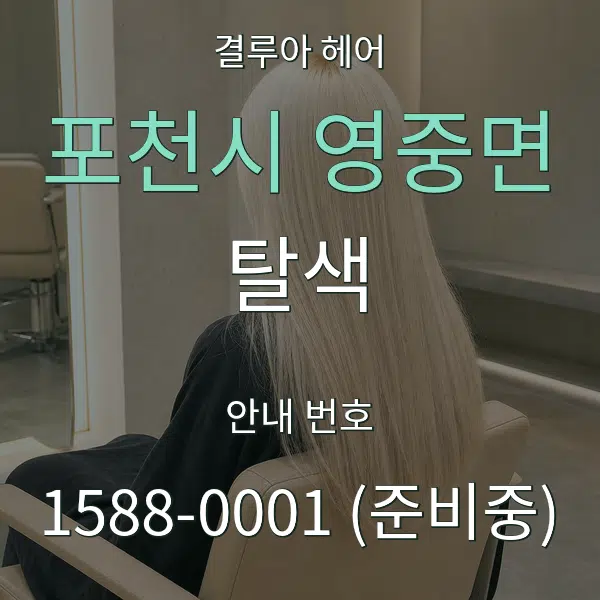 포천시 영중면 탈색 대표 안내 그래픽