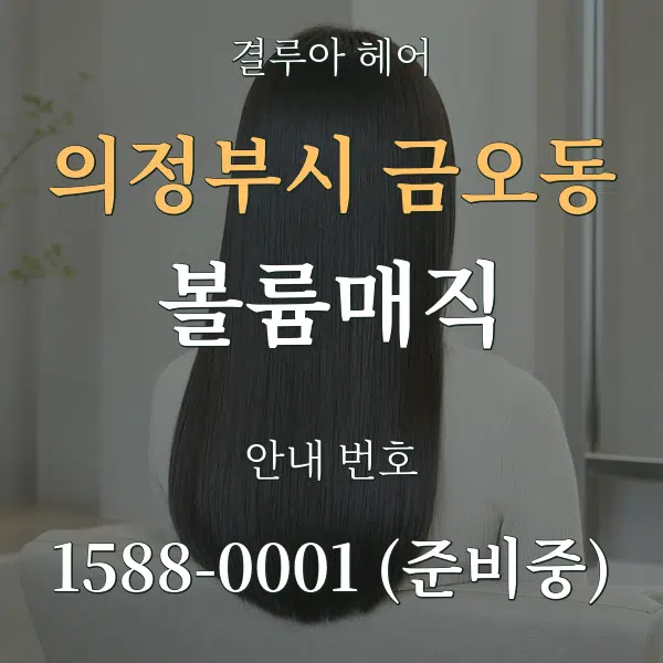 의정부시 금오동 볼륨매직 대표 안내 그래픽