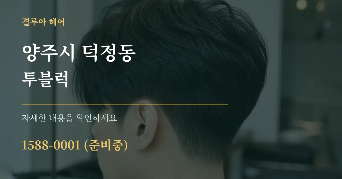양주시 덕정동 투블럭 서비스 이용 안내 그래픽