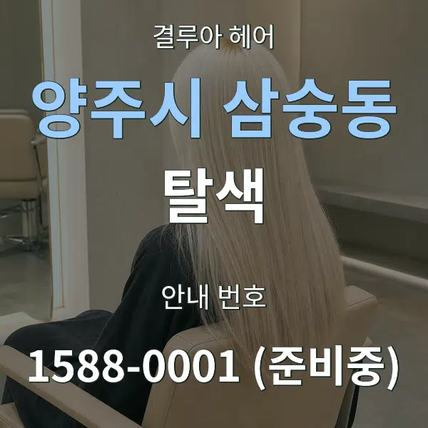 양주시 삼숭동 탈색 대표 안내 그래픽
