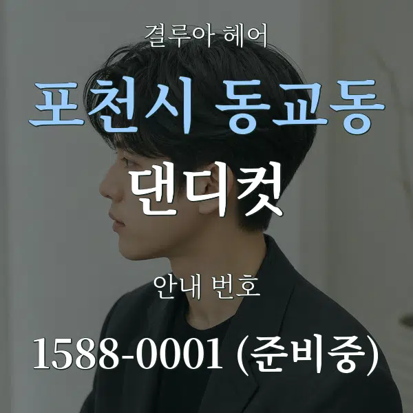 포천시 동교동 댄디컷 대표 안내 그래픽