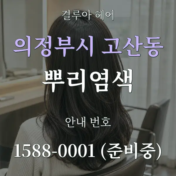 의정부시 고산동 뿌리염색 대표 안내 그래픽