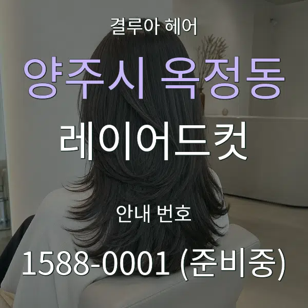 양주시 옥정동 레이어드컷 대표 안내 그래픽