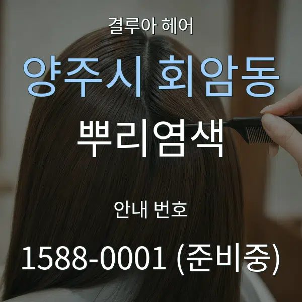 양주시 회암동 뿌리염색 대표 안내 그래픽