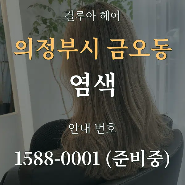 의정부시 금오동 염색 대표 안내 그래픽