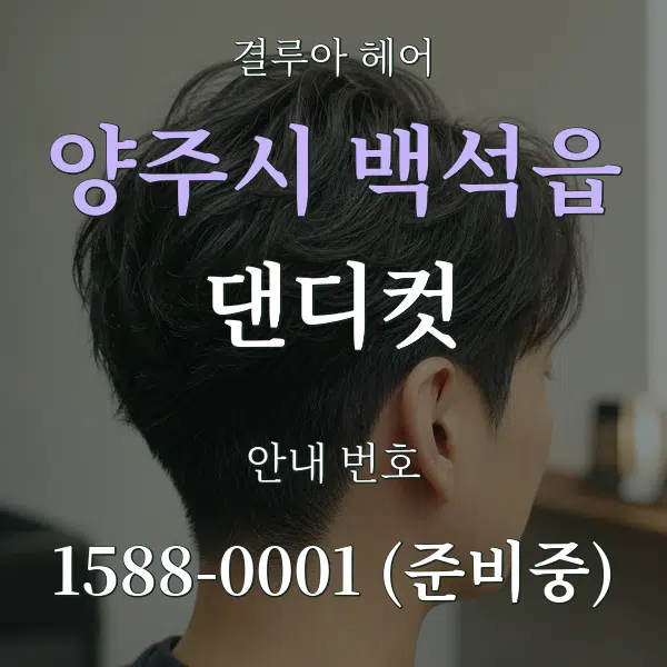 양주시 백석읍 댄디컷 대표 안내 그래픽