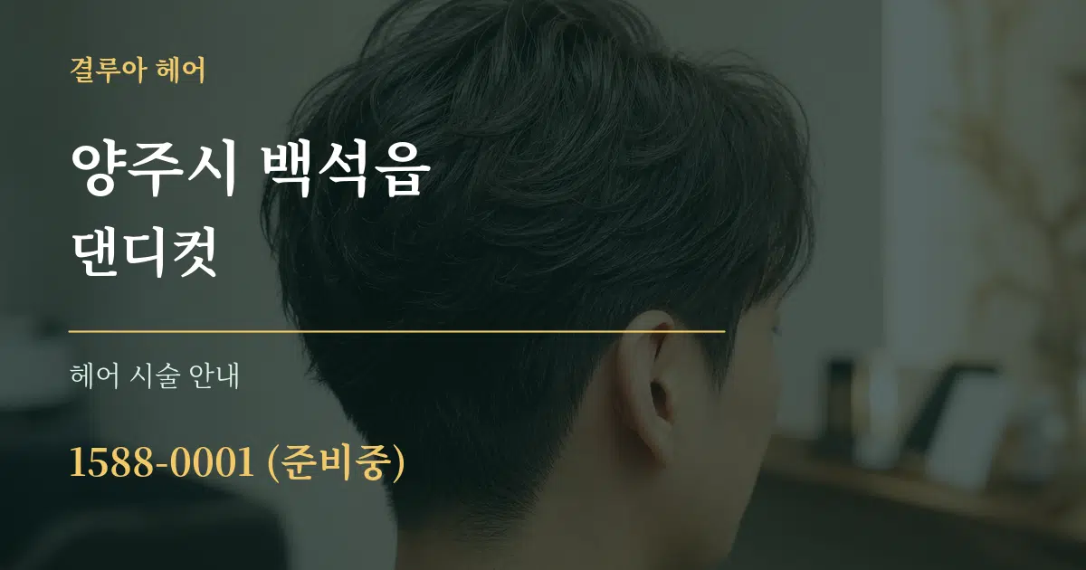 양주시 백석읍 댄디컷 대표 안내 그래픽