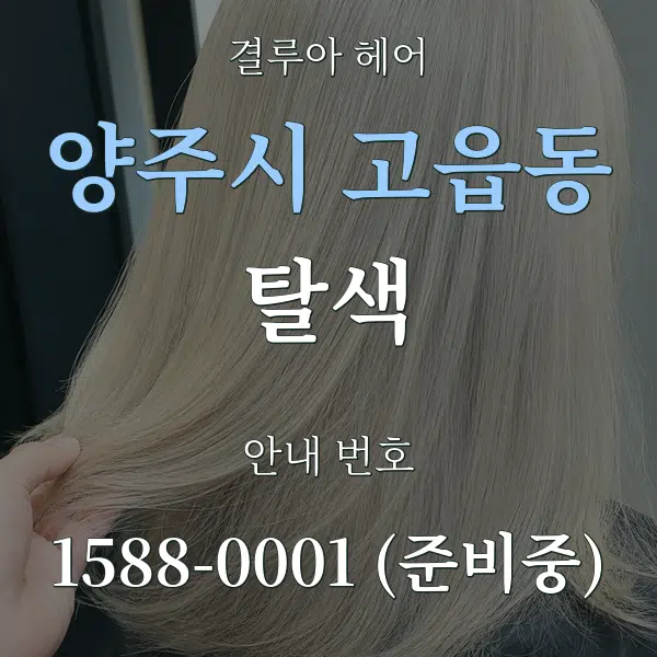양주시 고읍동 탈색 대표 안내 그래픽