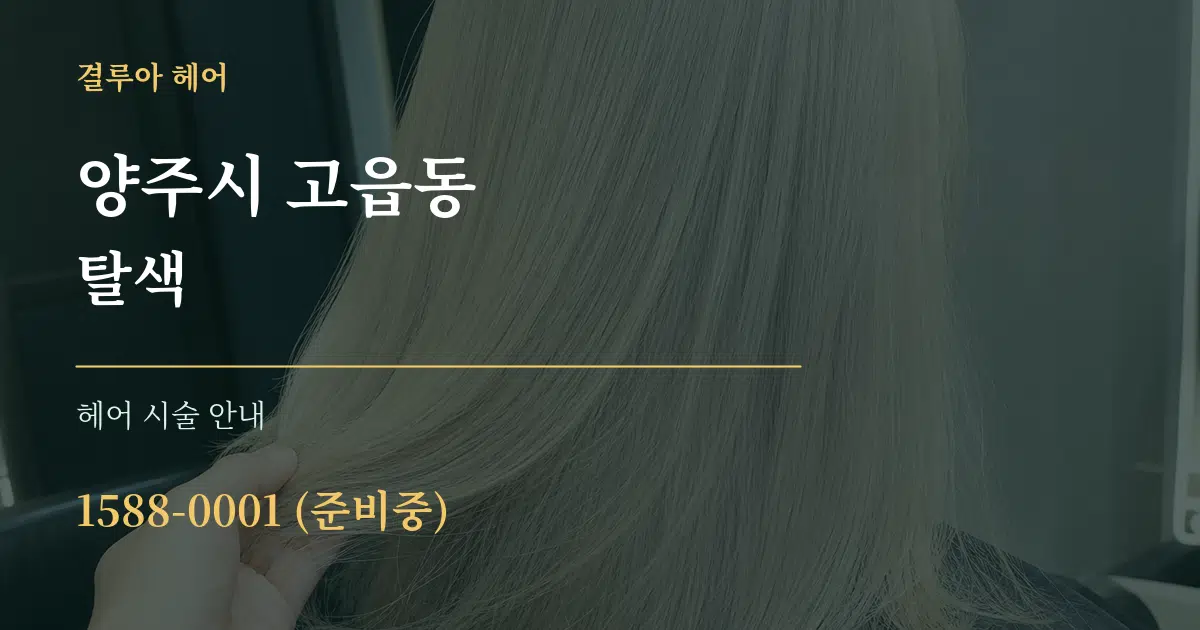 양주시 고읍동 탈색 대표 안내 그래픽
