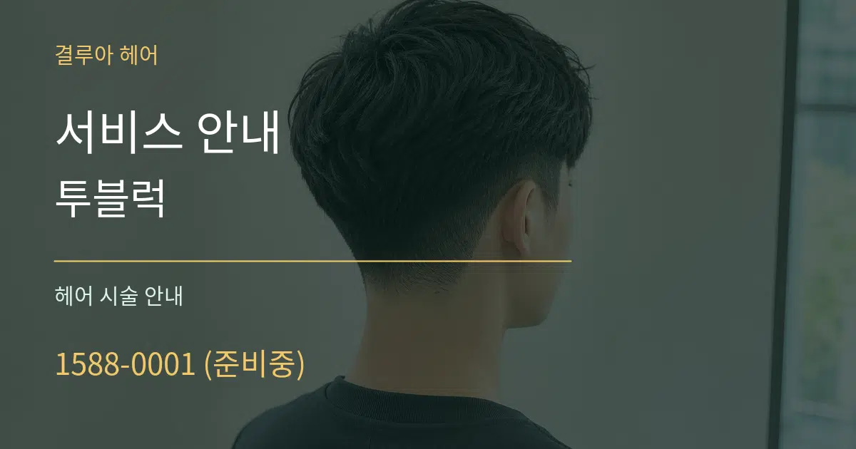 서비스 안내 투블럭 대표 안내 그래픽
