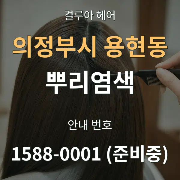 의정부시 용현동 뿌리염색 대표 안내 그래픽