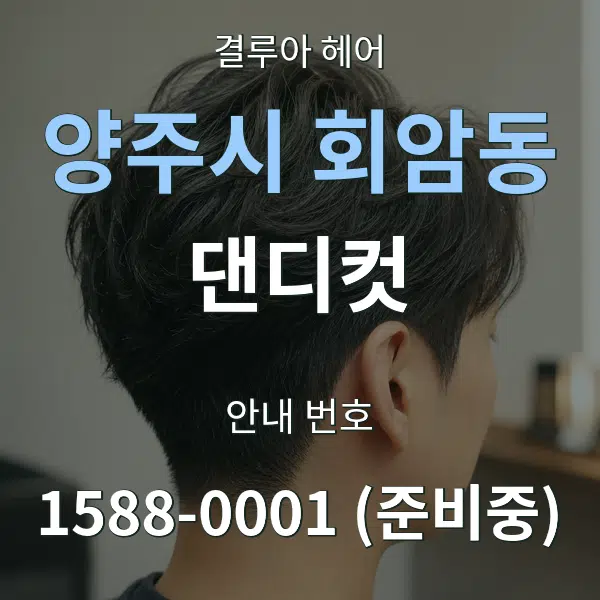 양주시 회암동 댄디컷 대표 안내 그래픽