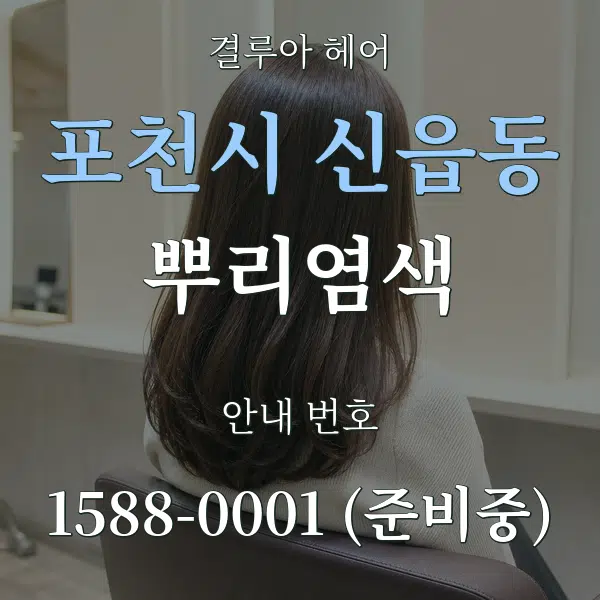 포천시 신읍동 뿌리염색 대표 안내 그래픽