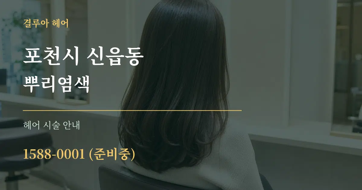 포천시 신읍동 뿌리염색 대표 안내 그래픽