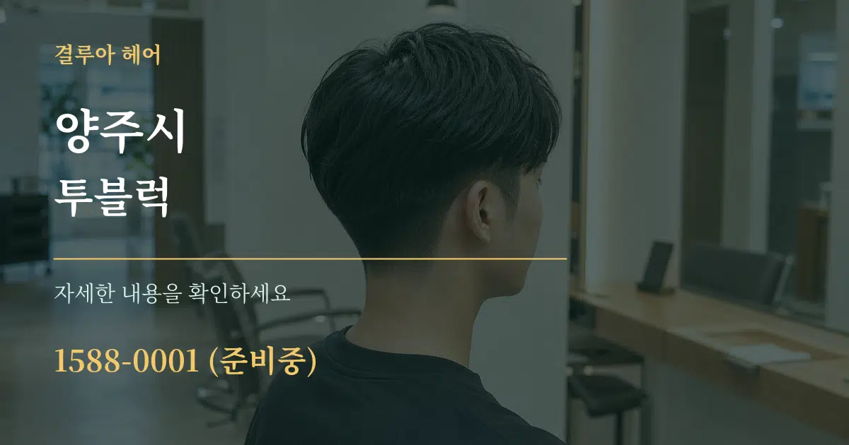 양주시 투블럭 서비스 이용 안내 그래픽