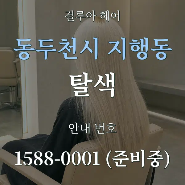 동두천시 지행동 탈색 대표 안내 그래픽