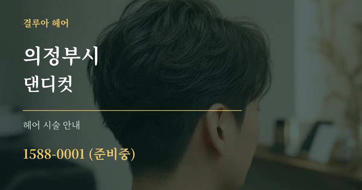 의정부시 댄디컷 대표 안내 그래픽