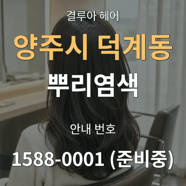 양주시 덕계동 뿌리염색 대표 안내 그래픽