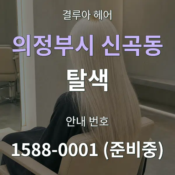 의정부시 신곡동 탈색 대표 안내 그래픽