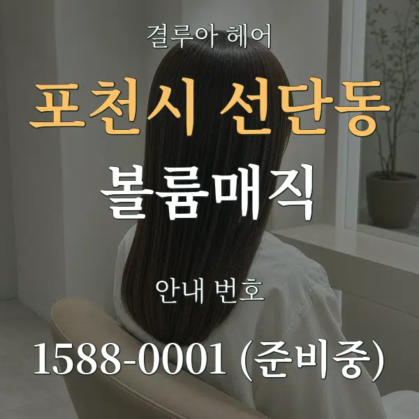 포천시 선단동 볼륨매직 대표 안내 그래픽